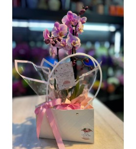 Luxury Hot Orkide Çiçeği